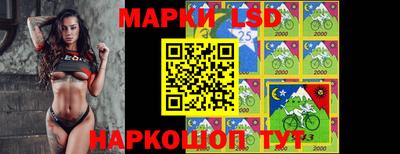 мдпв Бийск