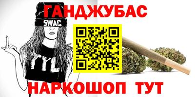 мдпв Бийск