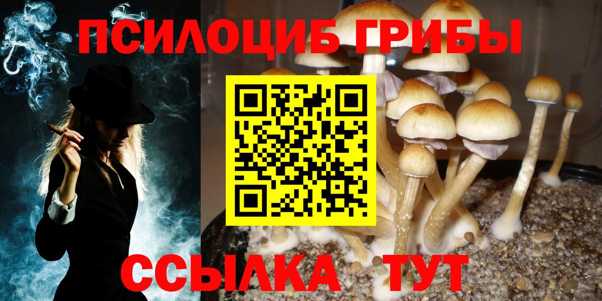 Зеленогорск  Галлюциногенные грибы ЛСД  наркотики  Вход с VPN 